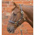 William Hunter Equestrian Hy Leather Head Collar - full - brown