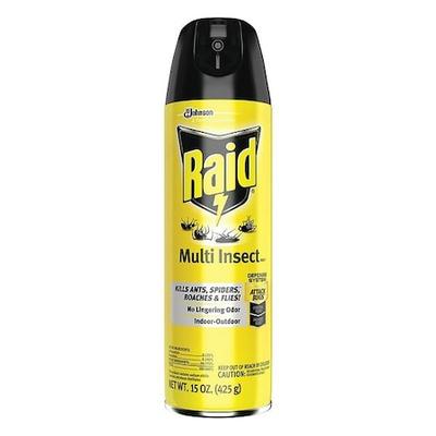 RAID 300819 Insect Killer,Indoor and Outdoor,15 oz.