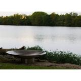 Fire Pit Art Bella Vita Fire Pit Stainless Steel/Steel in Gray | 12 H x 34.5 W x 34.5 D in | Wayfair Bella Vita34-FPA-MLS120-LP