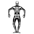 Second Skin Skelett leuchtend GID Halloween Kost�m Stretchanzug Gr S