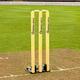 FORTRESS Springback Cricket Stumps – 28in ICC Regulation | Premium Wooden Cricket Stumps - Spring Back Wickets & Bails | Freestanding Cricket Set For Seniors