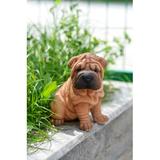 Hi-Line Gift Ltd. Sitting Shar Pei Puppy Statue in Brown | 6 H x 5 W x 6 D in | Wayfair 87771-N