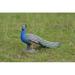 Hi-Line Gift Ltd. Peacock Bird Statue-Small in Blue/Gray/Green | 11.75 H x 7 W x 20.75 D in | Wayfair 87809-S