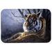 Caroline's Treasures Bengal Tiger Glass Cutting Board Glass | 0.5 H x 15 W x 11 D in | Wayfair BDBA0251LCB