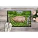 Caroline's Treasures Pig In Dasies Non-Slip Outdoor Door Mat Synthetics in White | 24 W x 36 D in | Wayfair CDCO0374JMAT