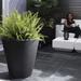 Crescent Garden Dot Self Watering Plastic Pot Planter in Black | 20.04 H x 20 W x 20 D in | Wayfair A595094