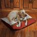 Laural Home Rescue Dog Fleece Dog Bed Polyester/Cotton in Brown/Red, Size 10.0 H x 40.0 W x 30.0 D in | Wayfair RD3040FDB