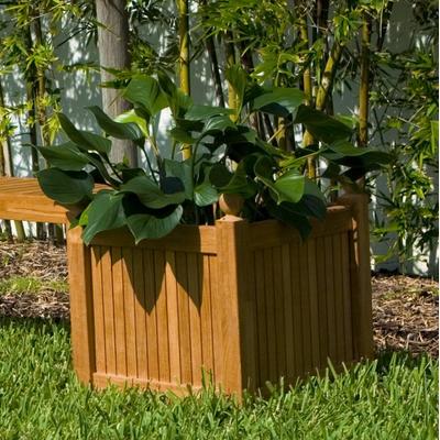 18.5 inch Teak Square Planter Box