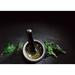 Cole & Mason 5.5" Granite Mortar & Pestle Stoneware in Black | 6.69 H x 5.91 W x 5.91 D in | Wayfair H100279USA