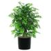 Vickerman 320020 - 4' Ming Aralia Extra Full (TXX0640-06) Aralia Home Office Tree