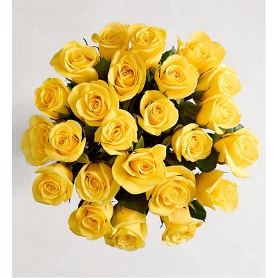 1-800-Flowers Flower Delivery Yellow Roses 24 Stems, Bouquet Only