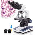 AmScope - Binocular Compound Microscope, 40X-2500X Magnification, LED, Biological Lab Grade Microscope with 3-D Stage for Students and Adults - B120C