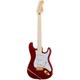 Fender Richie Kotzen Stratocaster TRB