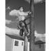 Low angle view of an electrician climbing on a pole Poster Print (18 x 24)