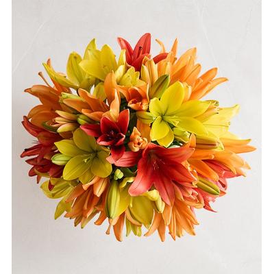 1-800-Flowers Seasonal Gift Delivery November Sun Lily Double Bouquet Only