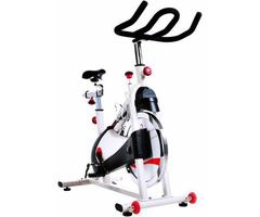 Sunny Health & Fitness Sf-b1509 Belt Drive Premium Indoor Cycling Bike