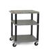 H. Wilson Tuffy 3 Shelf Cart W/Electric - Gray Shelves/Black Legs WT34GYE-B WT34GYEB