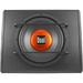 Generic Dual ALB10 10" Subwoofer with Ported Enclosure, 300W