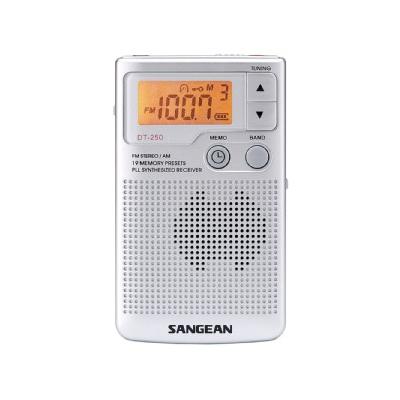 DT-250 Taschenradio