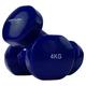 Tunturi Unisex Adult Dumbbell sets Vinyl Dumbbells/Dumbbell set 4.0kg, Blue, Pair - Blue, 1