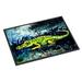 Caroline's Treasures Sneaky Alligator Outdoor Door Mat 18.0 W x 27.0 D in black/blue/yellow in Blue/Black/Green | Rectangle 1'6" x 2'3" | Wayfair