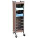 Omnimed Big Beam Storage Cabinet Stainless Steel in Brown | 53.38 H x 14.5 W x 15 D in | Wayfair 264590-BG