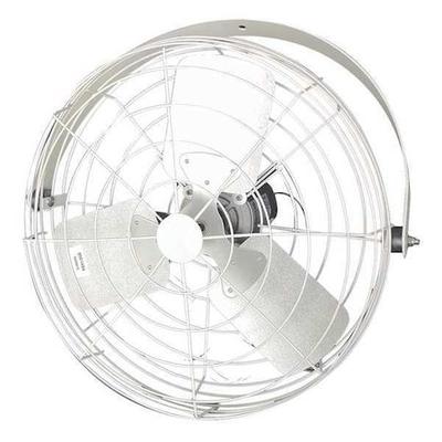 DAYTON 20B4WV-W-G Corrosion Resistant Industrial Fan, Ceiling, IBeam, Wall