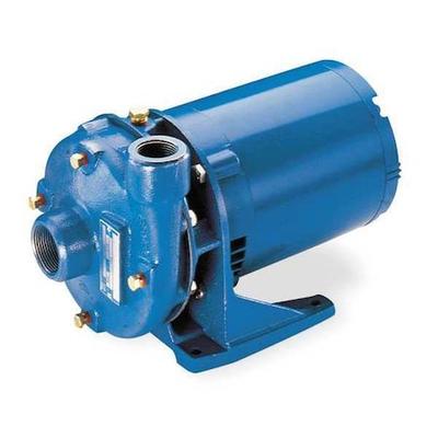 GOULDS WATER TECHNOLOGY 2BF82034 Centrifugal Pump,2 HP,Max. Head 52 ft.