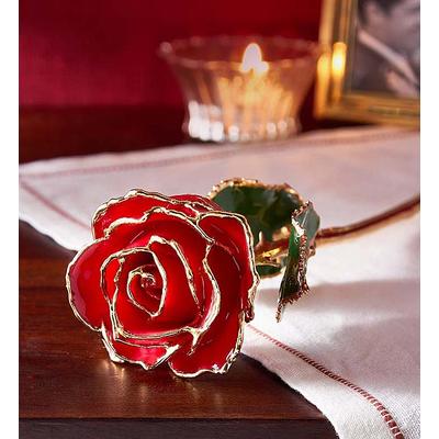 1-800-Flowers Flower Delivery Enchanting 24K Gold Dipped Rose 24K Red Rose | Happiness Delivered To Their Door