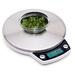 Ozeri Precision Pro Digital Kitchen Scale Stainless Steel in Gray | 0.7 H x 6 W in | Wayfair ZK011