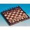 Schach Magnetic