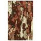 Brown/Red 114 x 0.33 in Indoor Area Rug - Latitude Run® Farsund Red Area Rug Wool, Cotton | 114 W x 0.33 D in | Wayfair LATT1230 34819101