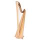 Salvi Hermes Lever Harp 40 Str. NM