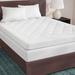 Alwyn Home Holden Waterproof Sofa Bed Mattress Pad Polyester | 72 H x 54 W in | Wayfair ANEW1137 37377670