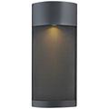 Hinkley Aria 17 1/4" High Black LED Outdoor Wall Light
