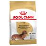 Royal Canin Bassotto (Dachshund) Adult Crocchette - 1,5 kg