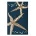 Marina Starfish Outdoor Rug - Aqua, 4' X 6'/Aqua - Grandin Road