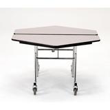 National Public Seating 48" Hexagon Cafeteria Table, Steel | 29 H x 48 W x 48 D in | Wayfair MT48H-MDPECRCH