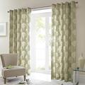 Just Contempo Woodland Trees Eyelet Lined Curtains, Green, 66x72 inches, Cotton, 66 x 72 inches