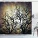 The Holiday Aisle® Horror Grunge Branches Twilight Single Shower Curtain Polyester | 70 H x 69 W in | Wayfair THLA1979 39393859