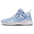 Nike Air Jordan Formula 23 Mens Basketball Trainers 881465 Sneakers Shoes (UK 7.5 US 8.5 EU 42, ice Blue Wolf Grey 406)