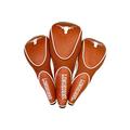 Team Golf NCAA Texas Longhorns Contour Golf Club Headcovers (3 Count) Numbered 1, 3, & X, Fits Oversized Drivers, Utility, Rescue & Fairway Clubs, Velour lined for Extra Club Protection