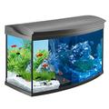 Tetra AquaArt Evolution Line LED Aquarium-Komplett-Set 100 Liter anthrazit (moderne LED Beleuchtung, integrierte Tag-Nachtlichtschaltung, gebogene Frontscheibe)