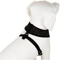 Puppia Dotty Harness A, PAHA-AC301, schwarz, Größe L