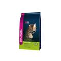 Eukanuba Premium Katzenfutter für Katzen mit Neigung zu Haarballen, Trockenfutter mit Huhn (1 x 4 kg)