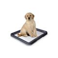 Nobby 67151 Doggy Trainer L - 62.5 x 48 x 3.8 cm