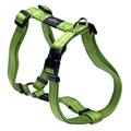 Rogz SJ06-L Utility Hundegeschirr/Fanbelt, L, grün