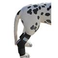 Nature Pet Sprunggelenk Schutz Bandage für Hunde/Tarsalgelenk Bandage für Hunde (6)