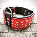 Bestia Echtleder Hundehalsband mit Nieten und weicher Leder Innenpolsterung. 6,5 cm breit. Passfit. Weiss, Rot oder Braun. Größen M, L, XL. 42,5 bis 65 cm Halsumfang. Top Qualität. Pitbull, Staffy, Dogo, Bulldog, Rottweiler, Terrier. Hergestellt in...