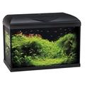 Wave A2001632 Riviera 80 Led 3° Series Beleuchtung für Aquarien, schwarz